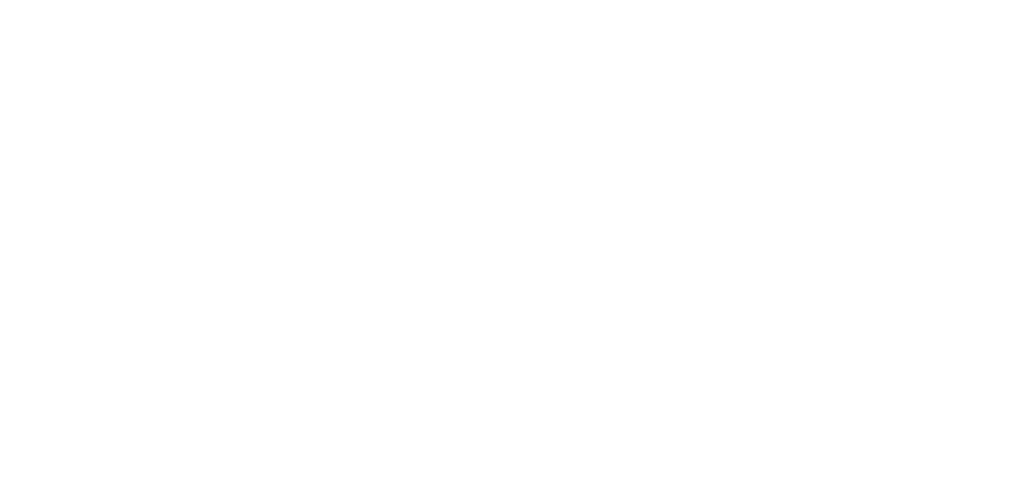 Gracie Barra Shelter Limassol